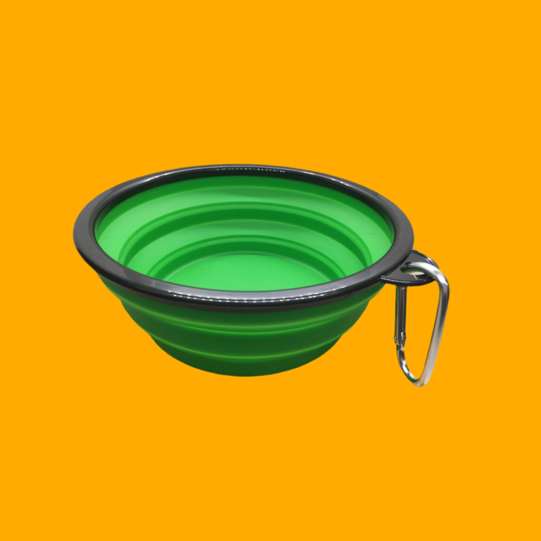 Pet Bowl Silicone Collapsing