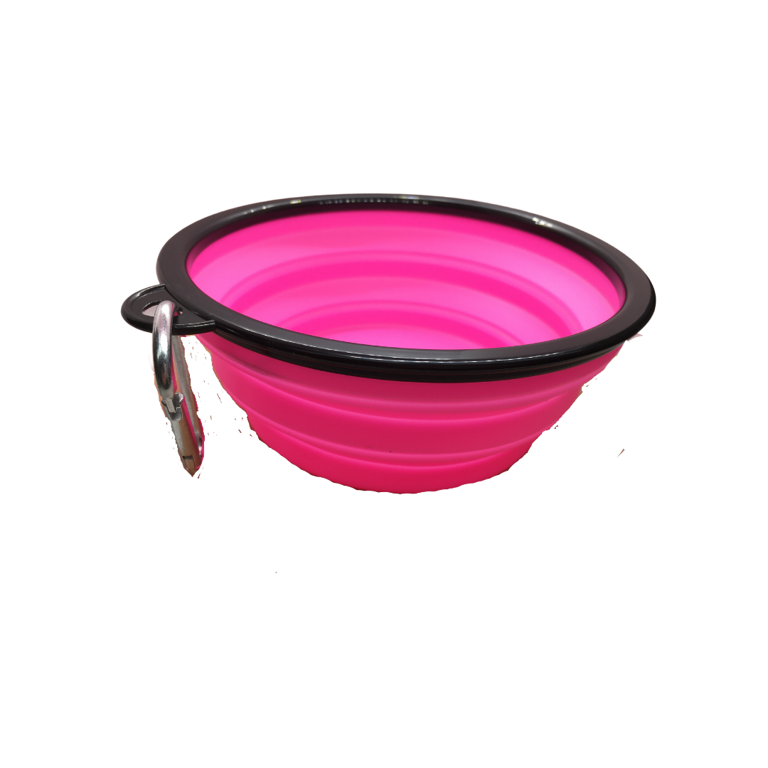 Pet Bowl Silicone Collapsing