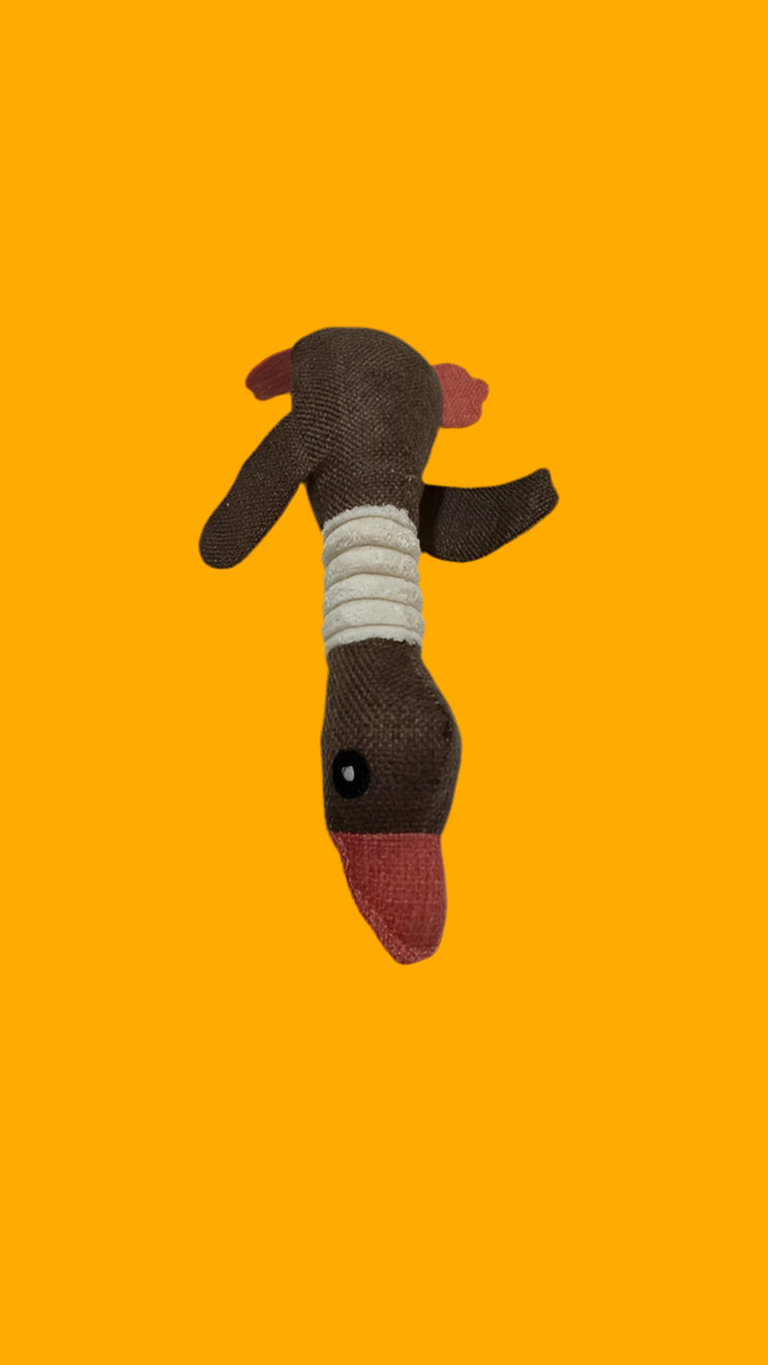 Duck Dog Toy