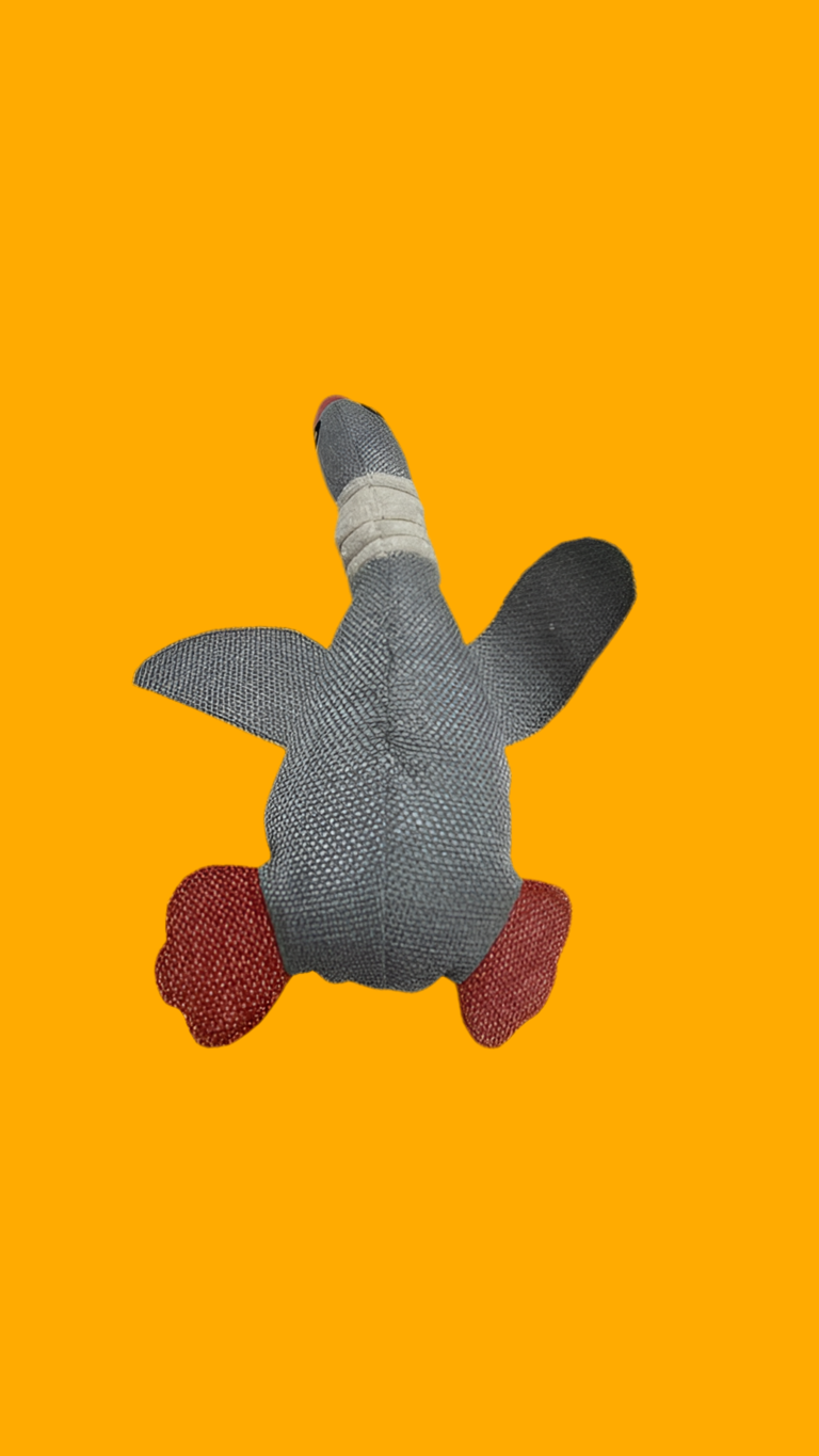 Duck Dog Toy