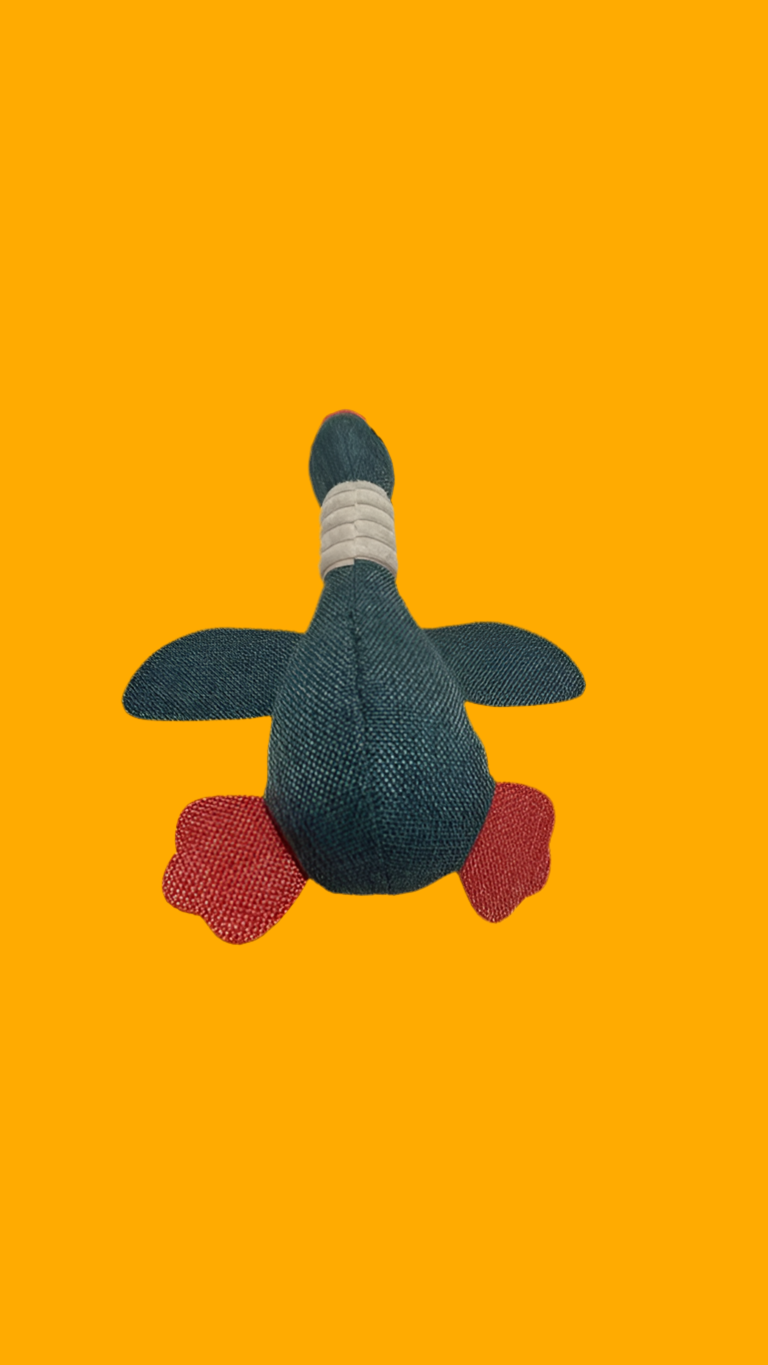 Duck Dog Toy